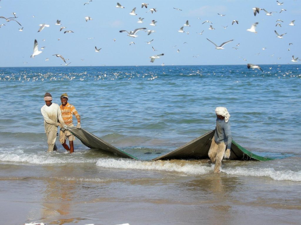 FISHING NETS – Baliga Fishnets